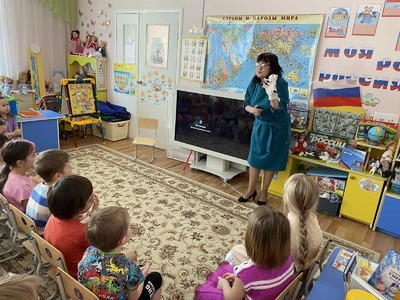 История про кота по кличке "Дикий"